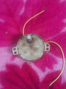 Gear Motor