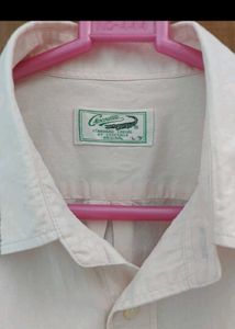 CROCODILE Shirt
