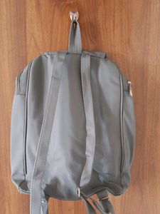 New Grey Back Pack