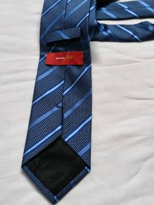 Kingfisher Men Blue Striped Tie