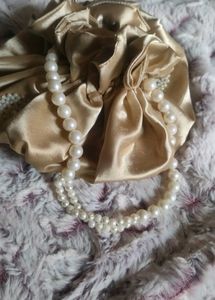 Elegant Beaded potli bag