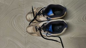 Cricket sports shoes