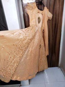 Elegant Ethnic Gown
