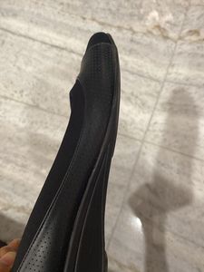 Black Belly With Small Heel