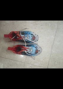 Vibrant Graphic Print light shoes