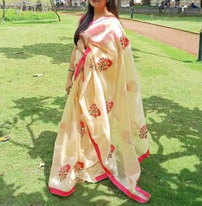 Beautiful Saree