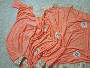 Peach Embellished Saree