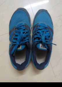 Nike Blue Running Shoes