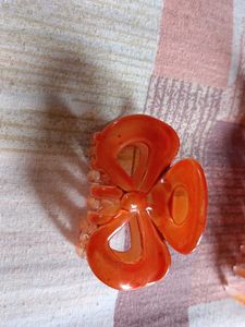 4  Fashionable Hair Clips