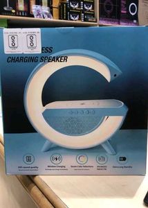 Portable Google Wireless Speaker