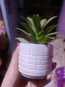 Lip Gloss And Other Item