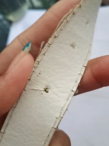 Belt (Golden Shimmery Women Belt For Jeans)