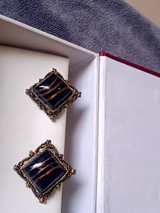 Blue &amp; Black Stunning Gold Plated Stone Earrings