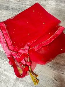 Pink Embroidered Lenga Choli