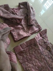 Embroidered Lehenga Choli