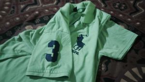 USPA Polo Shirt - Light Green Nom