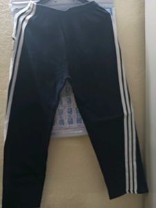 Night Pant