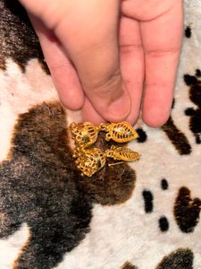 Gold Earrings Desi Style