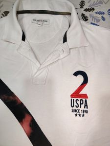 Regular Fit Brand  Print Polo Tshirt With Contrast