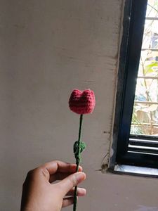 Tulip 🌷