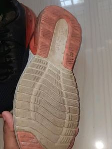 Skechers Shoe