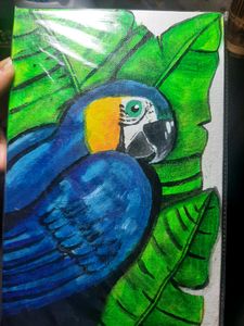 Bird Canvas Painting