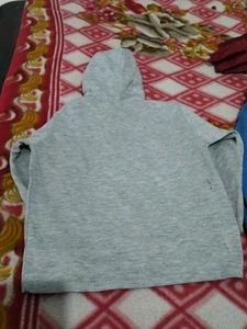 Little boy sweat shirt