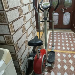 Yoga Cycle