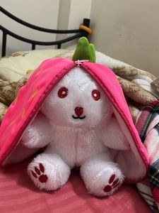Convertible Cute Bunny