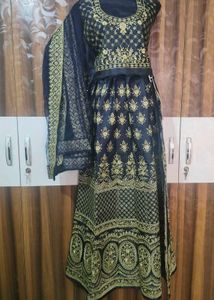 Embroidered Lehenga Choli