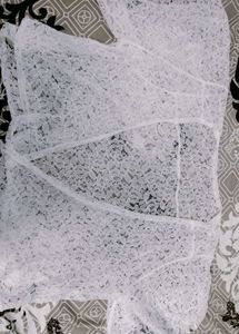 White Netted Shrug