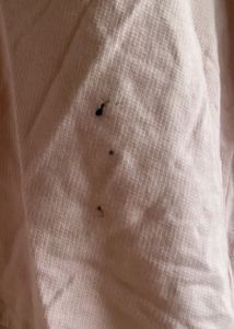 Star Pattern Sweatshirt