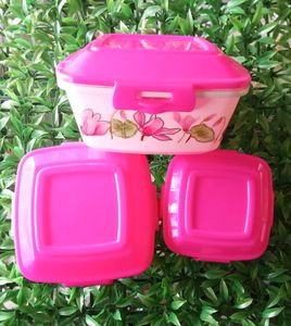 3 In One Combo Container/ Large , Medium, Small