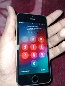 Apple iPhone 5s