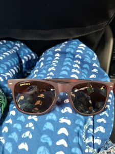 Beautiful Brown Sunglasses