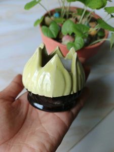 Lotus Flower Agarbatti Holders