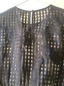 H&amp;M Dragon Fly Beaded Organza Top