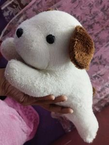 Dog Plush Toy