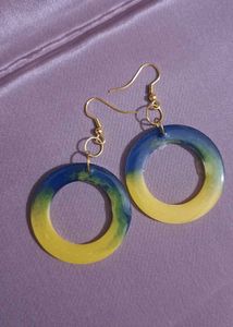 Blue &amp; Yellow Circle Earrings