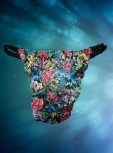 Brief