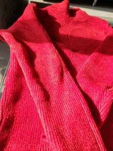 Turtle Neck Red Sweater.