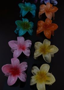 Hair Clip
