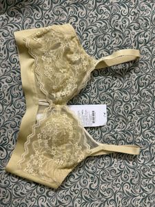 𓆉 Lace Detail Bra