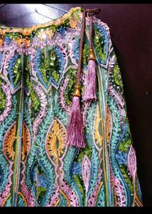 Multicolour Lehenga Choli✨