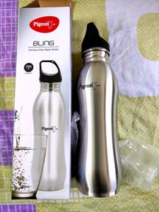 Pigeon Bling Stainless Steel Bottle