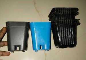 seed and Plant starter plastic pot