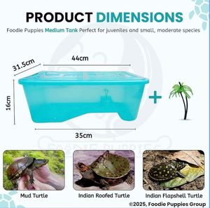 Blue Storage Container with Lid