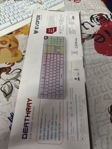 EvoFox Deathray RGB Gaming Keyboard