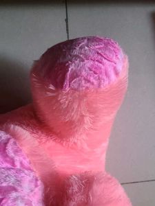Pink Teddy Bear