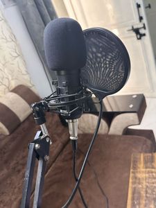 Professional Studio Microphone